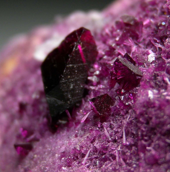 Kammererite from Kop Krom Mine, Kop Daglari, East Anatolia, Turkey [db_pics/pics/p386d.jpg]