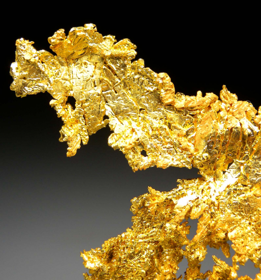 Gold on Quartz from Eagle's Nest Mine, Michigan Bluff, Placer County, California, USA [db_pics/pics/p399c.jpg]