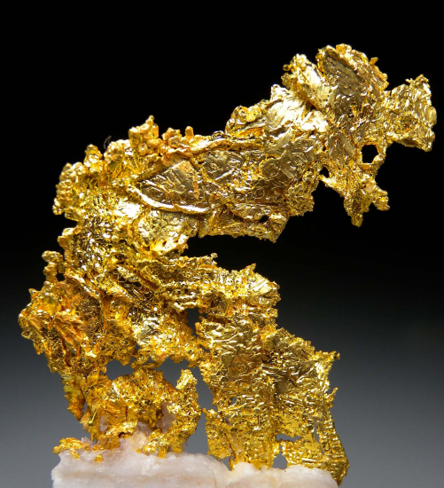 Gold on Quartz from Eagle's Nest Mine, Michigan Bluff, Placer County, California, USA [db_pics/pics/p399e.jpg]