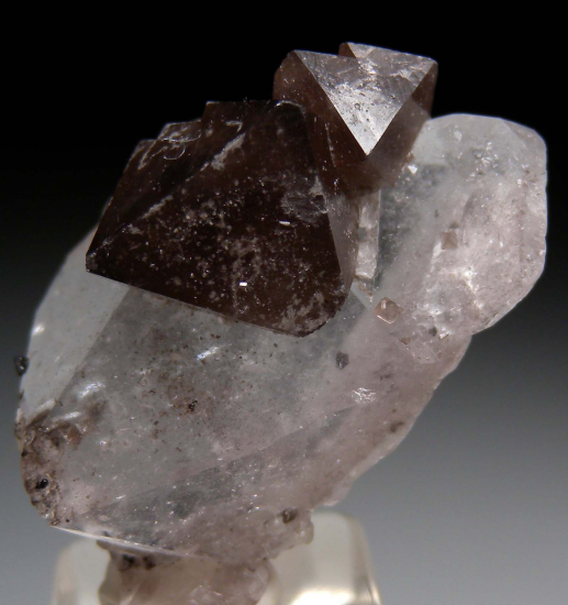 Scheelite on Quartz from Yaogangxian Mine, Hunan, China [db_pics/pics/p401a.jpg]