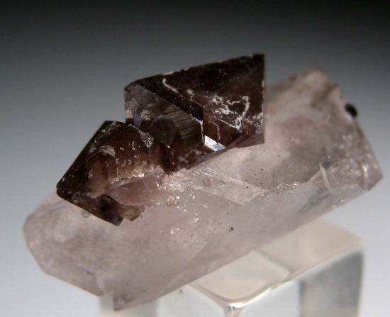 Scheelite on Quartz from Yaogangxian Mine, Hunan, China [db_pics/pics/p401d.jpg]