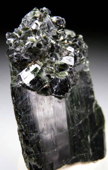 Actinolite from Kangwa, Dodoma, Tanzania [db_pics/pics/p423b.jpg]
