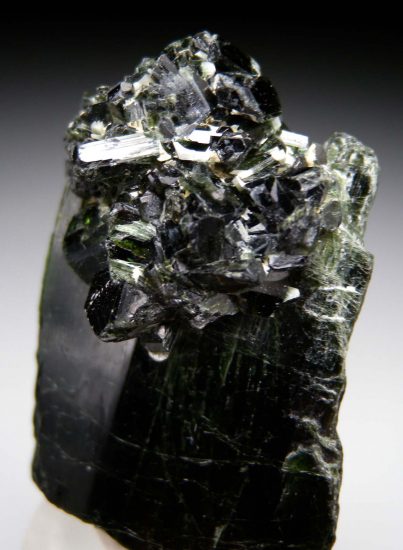 Actinolite from Kangwa, Dodoma, Tanzania [db_pics/pics/p423d.jpg]