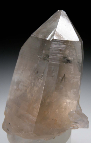 Tourmaline in Quartz from PC Mine, Jefferson Co., Montana, USA [db_pics/pics/p471a.jpg]