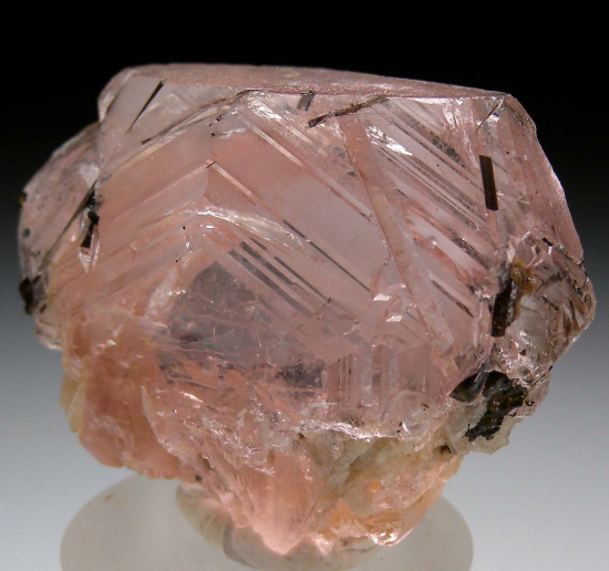 Morganite with Tourmaline from Corrego do Urucum Pegmatite, Galileia, Minas Gerais, Brazil [db_pics/pics/p483c.jpg]