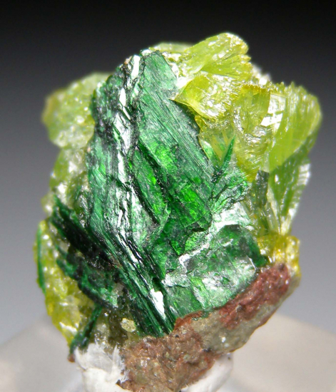 Szenicsite, Cuprian Powellite from Tierra Amarilla, Copiapo Province, Chile [db_pics/pics/p492a.jpg]