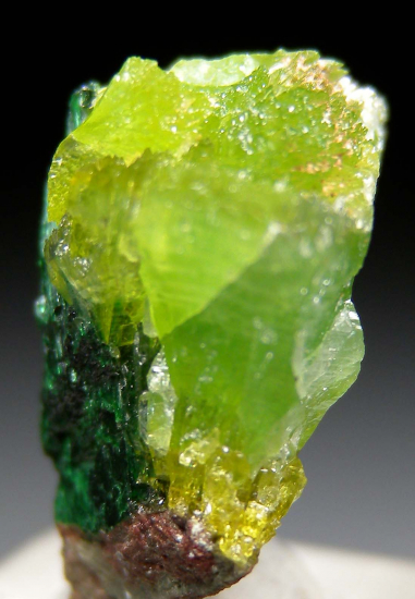 Szenicsite, Cuprian Powellite from Tierra Amarilla, Copiapo Province, Chile [db_pics/pics/p492b.jpg]