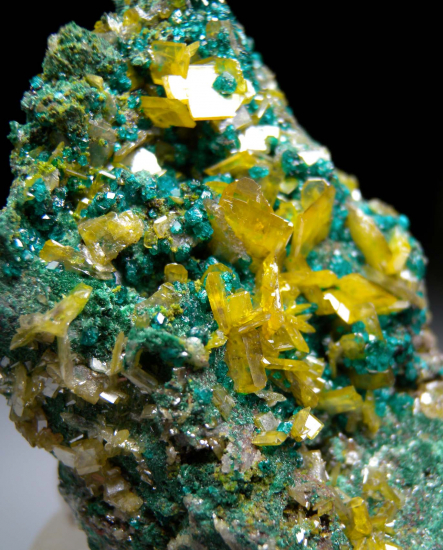 Wulfenite on Dioptase from Tsumeb, Namibia [db_pics/pics/p515b.jpg]