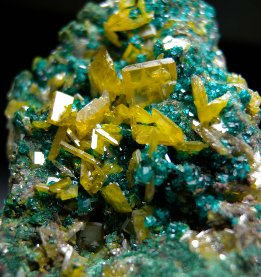 Wulfenite on Dioptase from Tsumeb, Namibia [db_pics/pics/p515c.jpg]