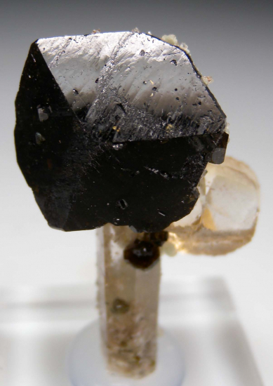 Uvite, Dolomite on Quartz from Pedra Pit, Brumado, Bahia, Brazil [db_pics/pics/p522a.jpg]