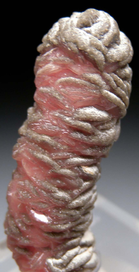Rhodochrosite stalactite from Capillitas Mine, Catamarca Prov., Argentina [db_pics/pics/p538b.jpg]