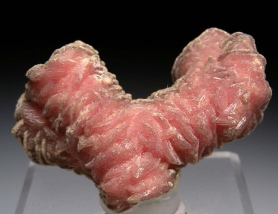 Rhodochrosite stalactite from Capillitas Mine, Catamarca Prov., Argentina [db_pics/pics/p539a.jpg]