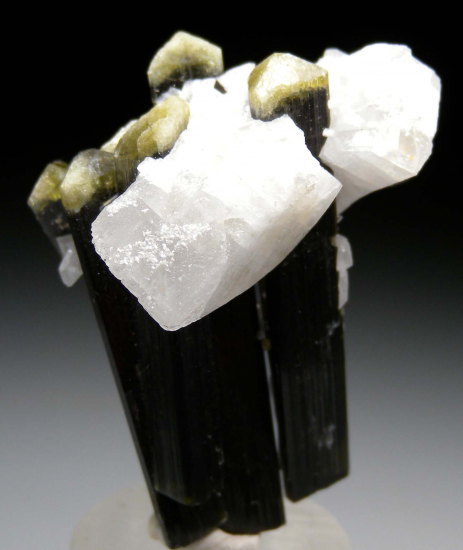 Tourmaline with Albite from Stak Nala, Skardu, Pakistan [db_pics/pics/p552b.jpg]