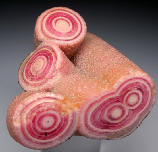 Rhodochrosite stalactites from Capillitas Mine, Catamarca Prov., Argentina [db_pics/pics/p557a.jpg]