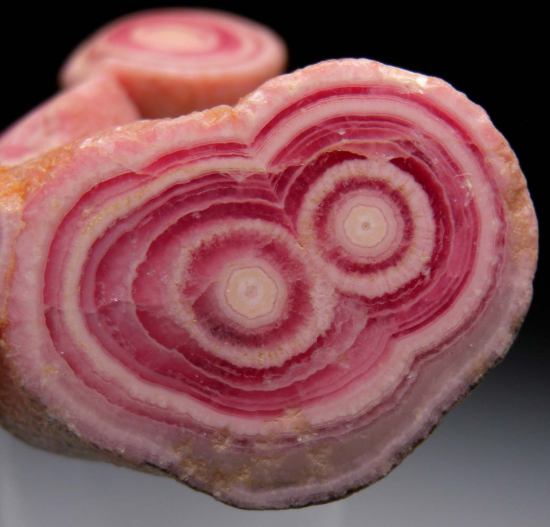 Rhodochrosite stalactites from Capillitas Mine, Catamarca Prov., Argentina [db_pics/pics/p557c.jpg]