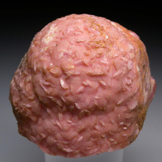 Rhodochrosite stalactite from Capillitas Mine, Catamarca Prov., Argentina [db_pics/pics/p558b.jpg]