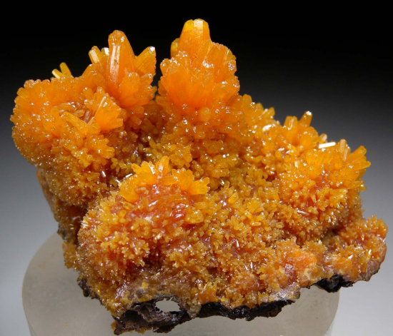 Pyromorphite from Bunker Hill Mine, Kellogg, Idaho, USA [db_pics/pics/p565a.jpg]