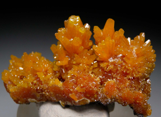 Pyromorphite from Bunker Hill Mine, Kellogg, Idaho, USA [db_pics/pics/p565b.jpg]