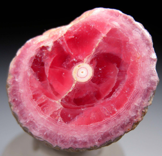 Rhodochrosite stalactite from Capillitas Mine, Catamarca Prov., Argentina [db_pics/pics/p566a.jpg]