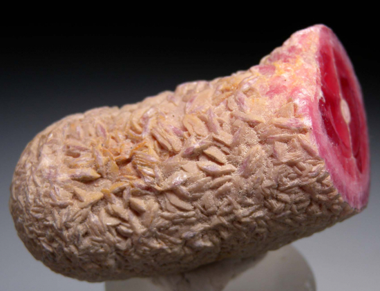 Rhodochrosite stalactite from Capillitas Mine, Catamarca Prov., Argentina [db_pics/pics/p566c.jpg]