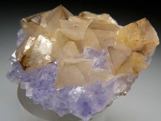Scheelite on Fluorite from Yaogangxian Mine, Hunan, China [db_pics/pics/p571b.jpg]