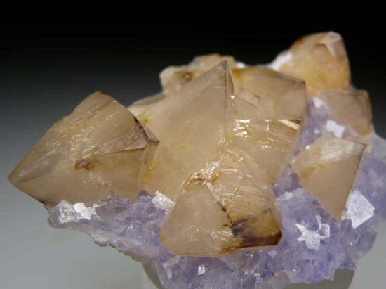 Scheelite on Fluorite from Yaogangxian Mine, Hunan, China [db_pics/pics/p571d.jpg]
