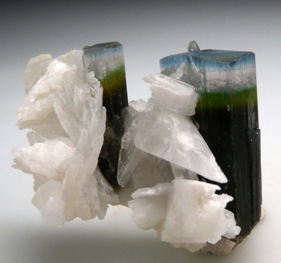 Hambergite on Tourmaline from Stak Nala, Skardu Dist., Pakistan [db_pics/pics/p594a.jpg]