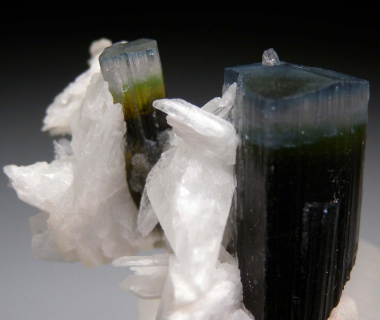 Hambergite on Tourmaline from Stak Nala, Skardu Dist., Pakistan [db_pics/pics/p594e.jpg]