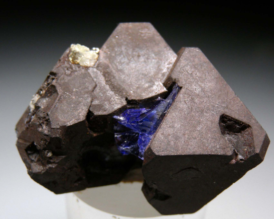 Tanzanite on Alabandite from Merelani Hills, Arusha, Tanzania [db_pics/pics/p609a.jpg]