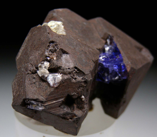 Tanzanite on Alabandite from Merelani Hills, Arusha, Tanzania [db_pics/pics/p609b.jpg]