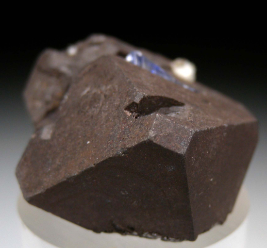 Tanzanite on Alabandite from Merelani Hills, Arusha, Tanzania [db_pics/pics/p609c.jpg]