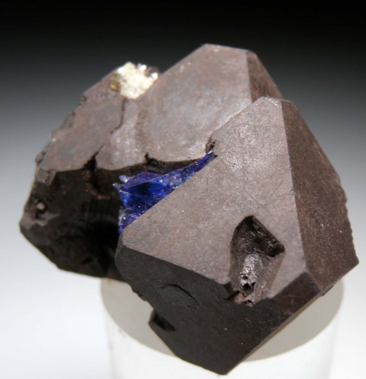 Tanzanite on Alabandite from Merelani Hills, Arusha, Tanzania [db_pics/pics/p609d.jpg]