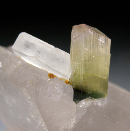 Hambergite, Tourmaline on Quartz from Stak Nala, Skardu Dist., Pakistan [db_pics/pics/p613d.jpg]