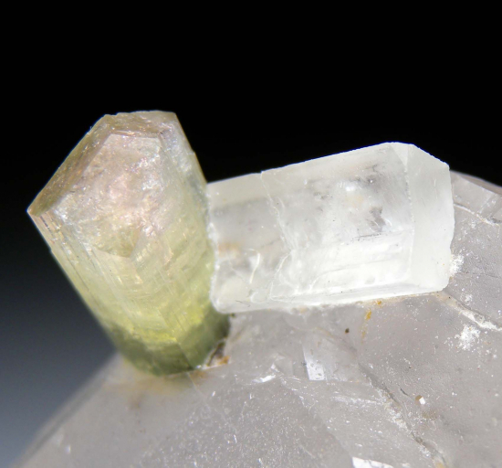 Hambergite, Tourmaline on Quartz from Stak Nala, Skardu Dist., Pakistan [db_pics/pics/p613e.jpg]