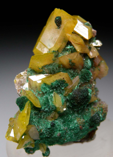 Wulfenite with Malachite from Tsumeb, Namibia [db_pics/pics/p627a.jpg]