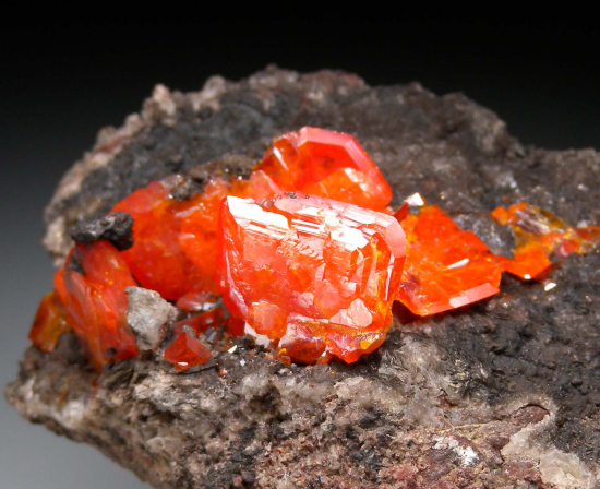 Wulfenite from Red Cloud Mine, La Paz Co., Arizona, USA [db_pics/pics/p632d.jpg]
