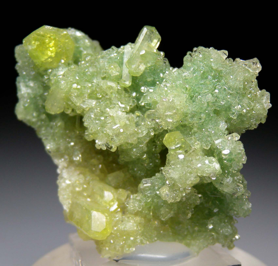 Vesuvianite from Jeffrey Mine, Val-des-Sources, Quebec, Canada [db_pics/pics/p640d.jpg]
