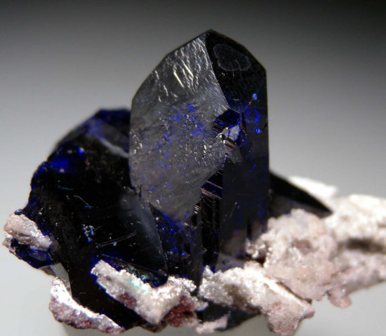 Azurite from Milpillas Mine, Cuitaca, Sonora, Mexico [db_pics/pics/p642c.jpg]