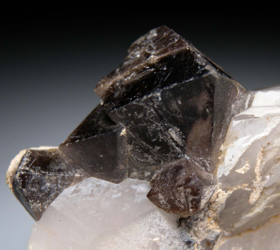 Scheelite from Tae Hwa Mine, Chungju City, North Chungcheong Province, South Korea [db_pics/pics/p688c.jpg]