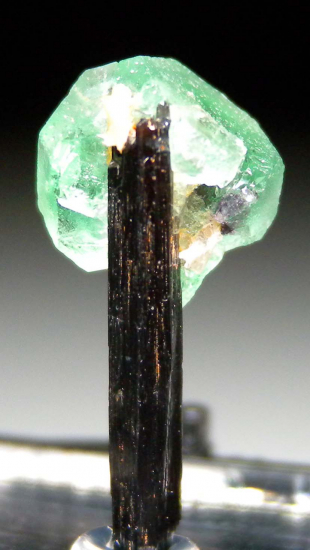 Fluorite on Schorl from Lollipop Pocket, Erongo Mtns., Namibia [db_pics/pics/p717b.jpg]