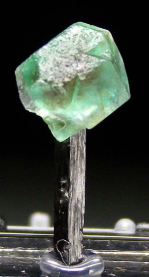 Fluorite on Schorl from Lollipop Pocket, Erongo Mtns., Namibia [db_pics/pics/p717c.jpg]