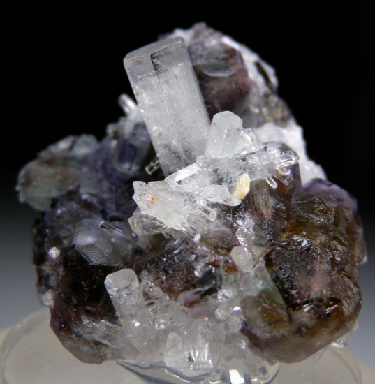 Goshenite on Fluorite from Erongo Mtns., Namibia [db_pics/pics/p720a.jpg]