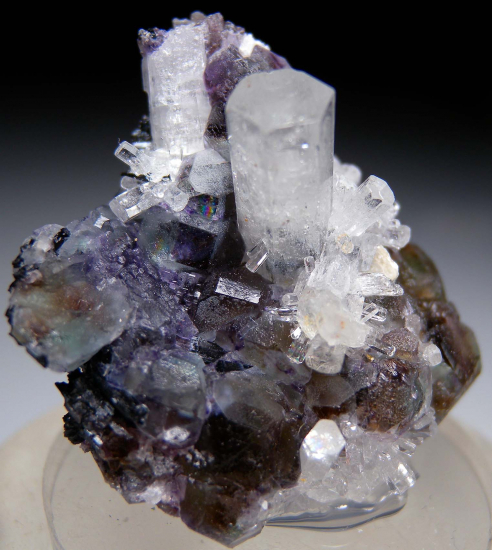 Goshenite on Fluorite from Erongo Mtns., Namibia [db_pics/pics/p720b.jpg]