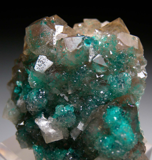 Dioptase in Quartz from Sanda Mine, Pool Department, Republic of Congo [db_pics/pics/p721b.jpg]