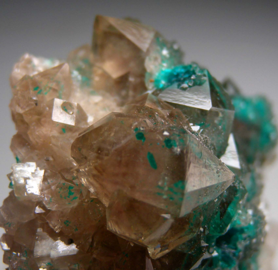 Dioptase in Quartz from Sanda Mine, Pool Department, Republic of Congo [db_pics/pics/p721d.jpg]