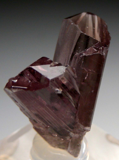 Diaspore from Pinarcik, Mugla Prov., Turkey [db_pics/pics/p725d.jpg]