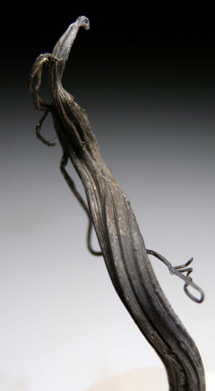 Silver from Porco, Antonio Quijarro Prov., Bolivia [db_pics/pics/p726b.jpg]