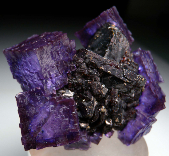 Fluorite with Sphalerite from Elmwood Mine, Carthage, Tennessee, USA [db_pics/pics/p734b.jpg]