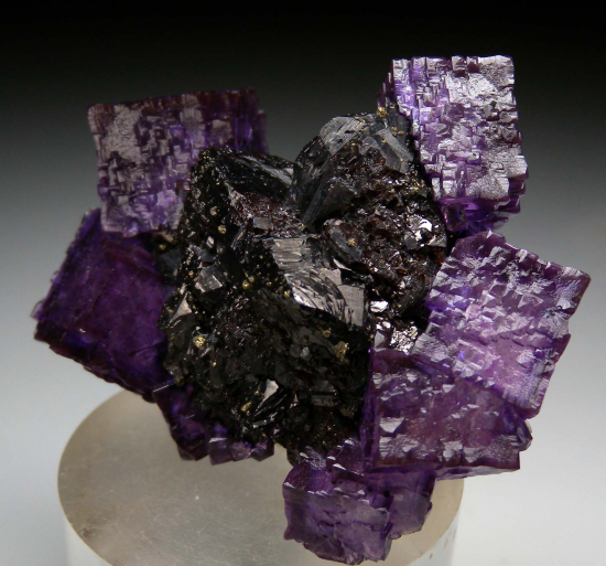 Fluorite with Sphalerite from Elmwood Mine, Carthage, Tennessee, USA [db_pics/pics/p734c.jpg]