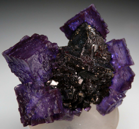 Fluorite with Sphalerite from Elmwood Mine, Carthage, Tennessee, USA [db_pics/pics/p734e.jpg]